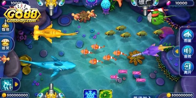 Tìm hiểu luật chơi săn cá cho người mới